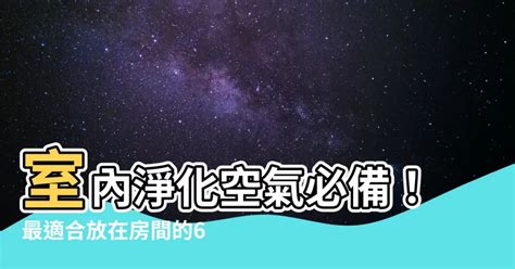 房間放什麼招桃花|【房間放什麼招桃花2023】2023解鎖桃花運！房間佈置5撇步，輕。